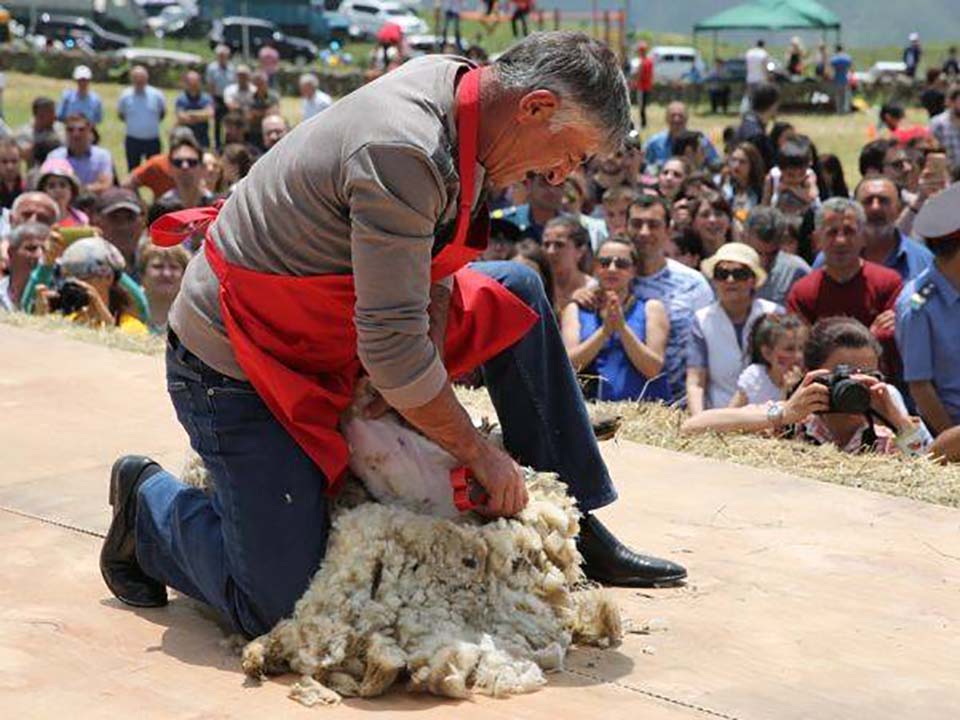 Ոչխարի Խուզման Փառատոն 2017