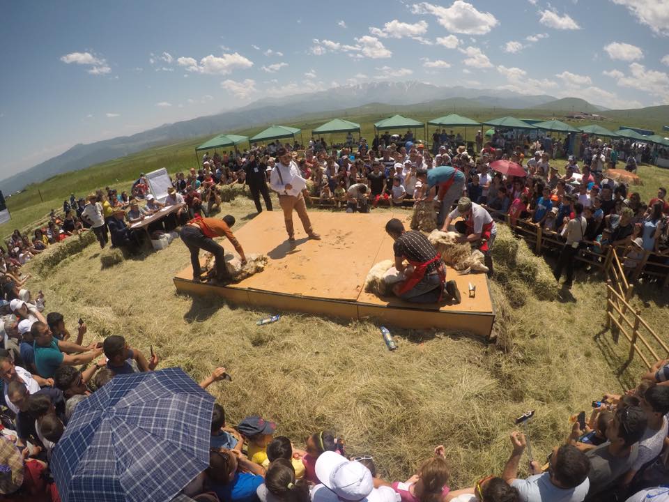 Ոչխարի Խուզման Փառատոն 2017