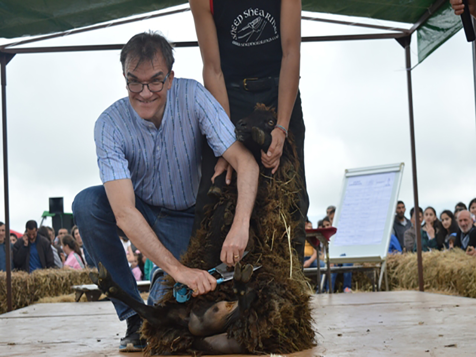 Ոչխարի Խուզման Փառատոն 2018